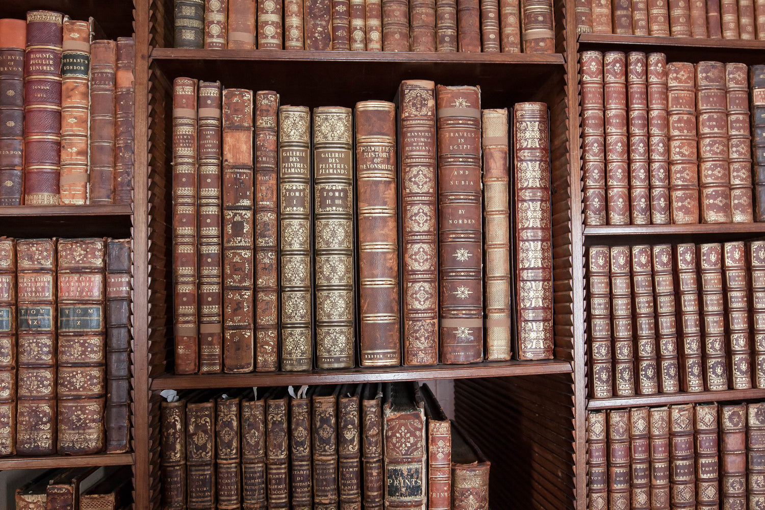 The VIctorian Book Collection