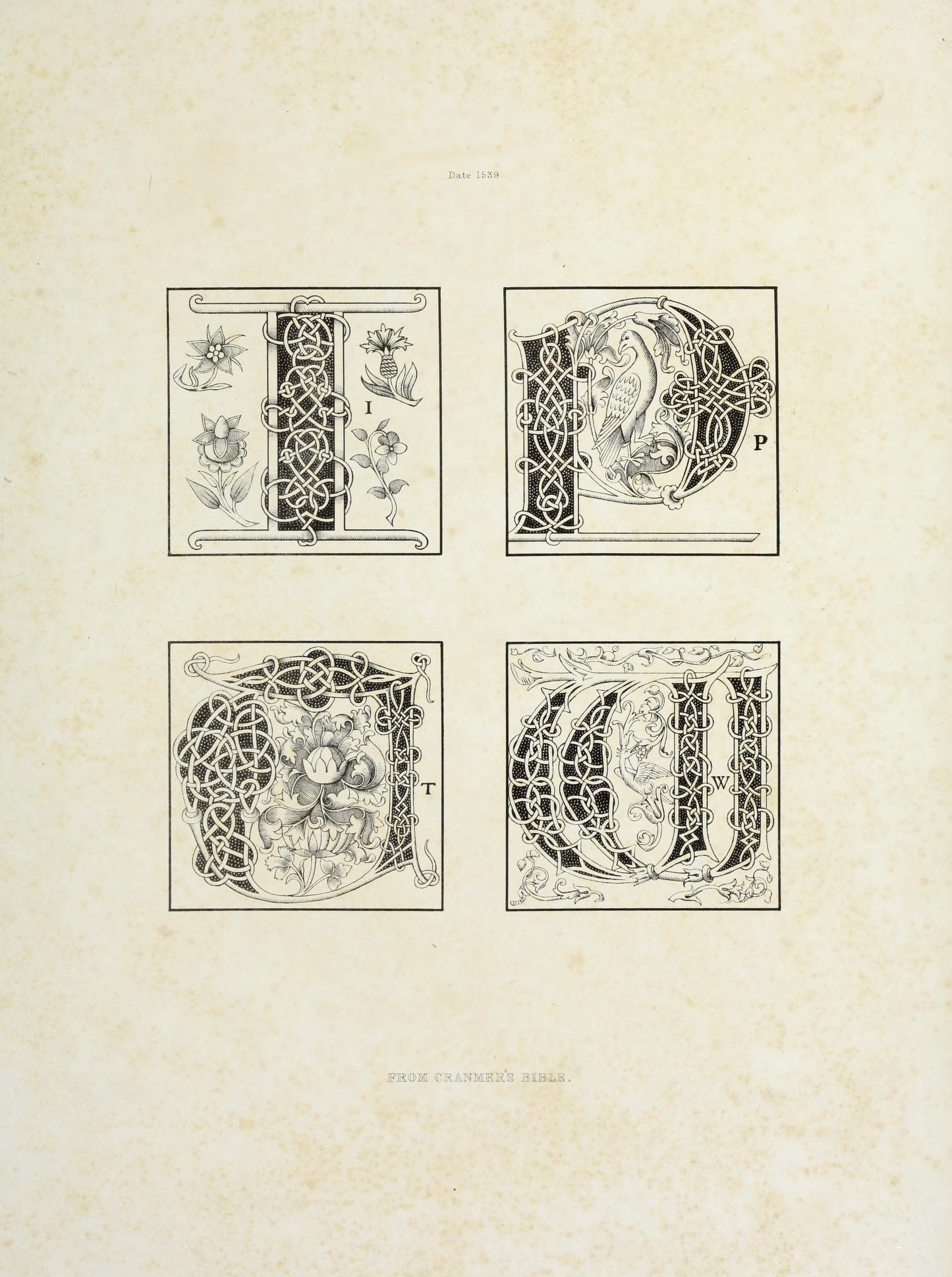 A Journey Through Medieval Typography: Discover Alphabets, Numerals & Devices of the Middle Ages by Henry Shaw, 1843