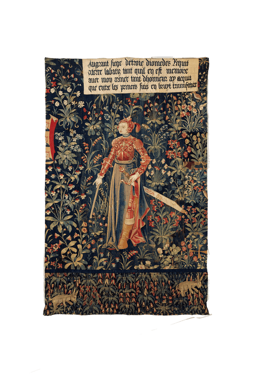 The Female Knight's Legacy: A Timeless Tapestry of Chivalry and Grace RE718085