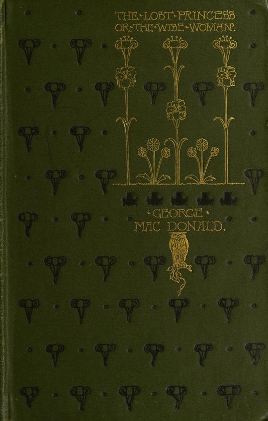 The Lost Princess: or, The Wise Woman by George MacDonald 1894