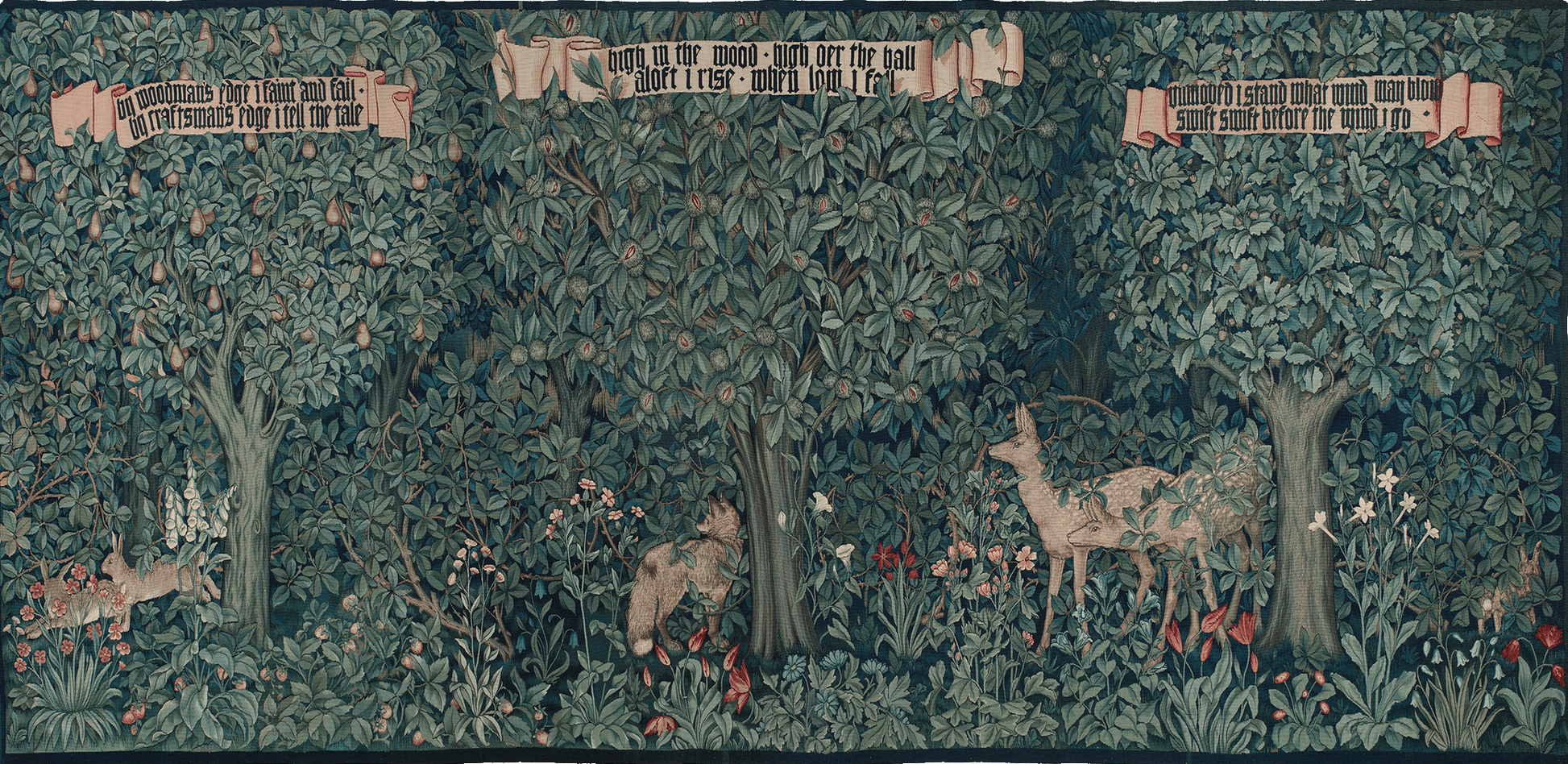 Green tapestry of forest