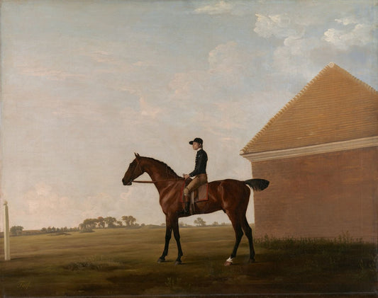 George Stubbs Turf with Jockey up at Newmarket  1766